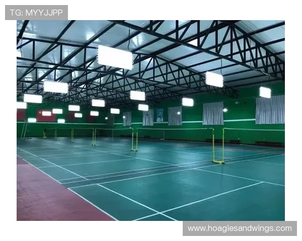 多米体育安卓版助力体育产业数字化转型，推动全民健身新潮流