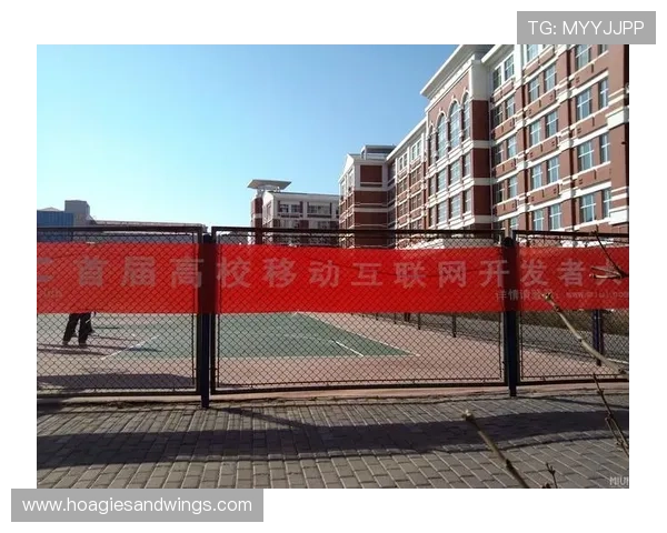 九博国际未来发展战略揭秘引领行业创新推动平台持续成长