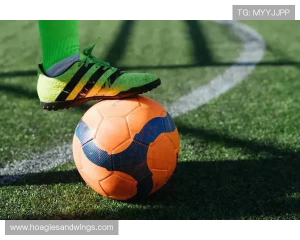 完美体育网站内容丰富多样满足不同体育爱好者的资讯与娱乐需求分析