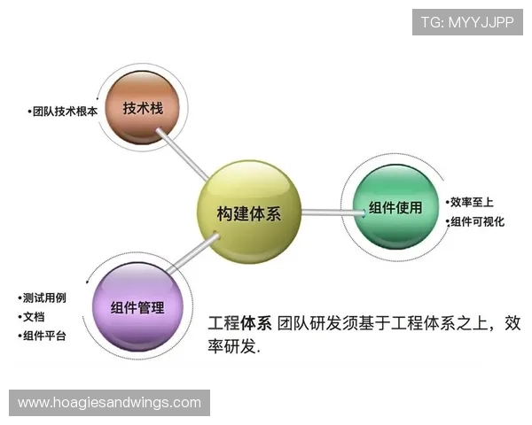 多米直播如何利用数据分析优化内容推荐与用户增长